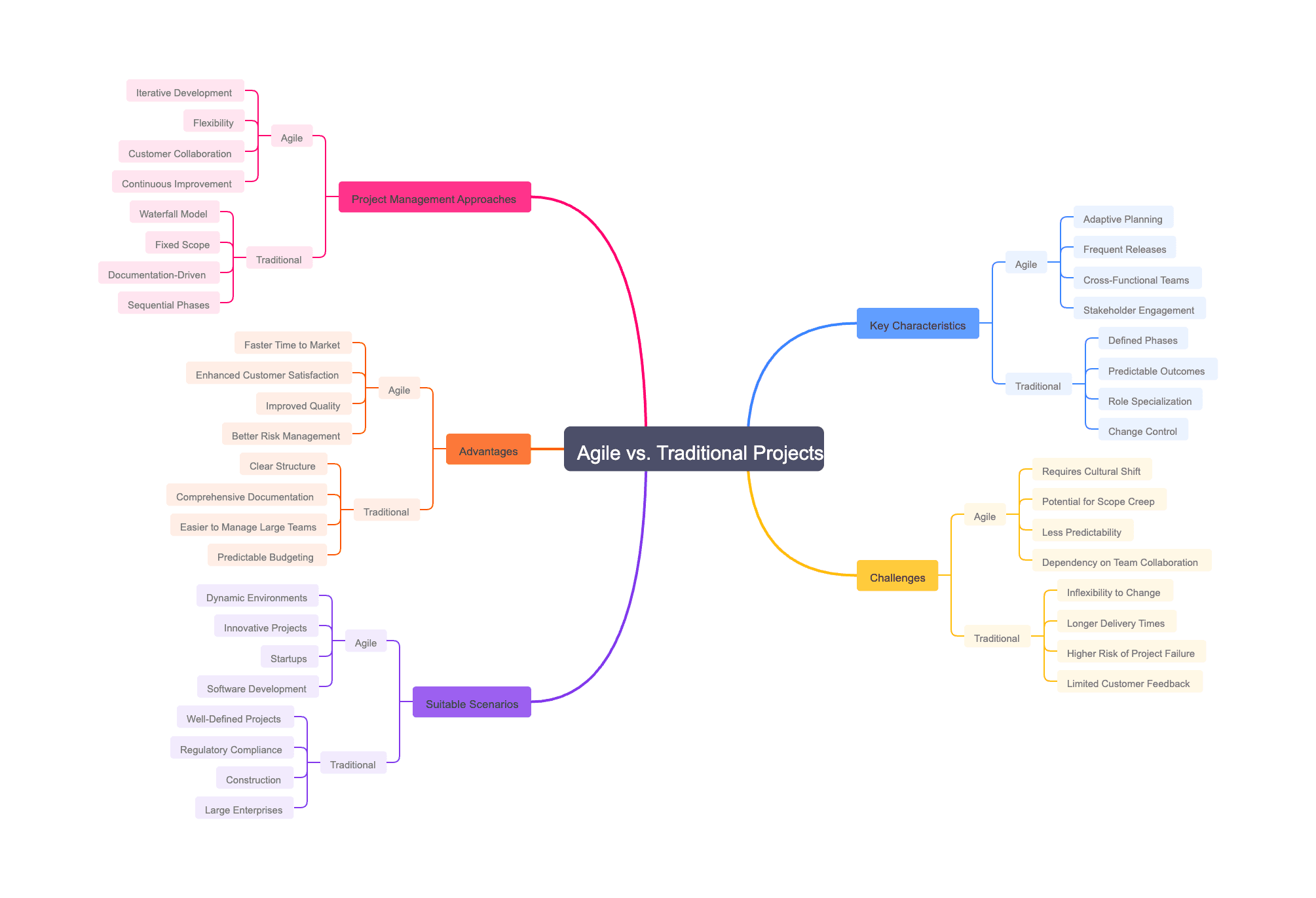 Agile vs. Traditional Projects
